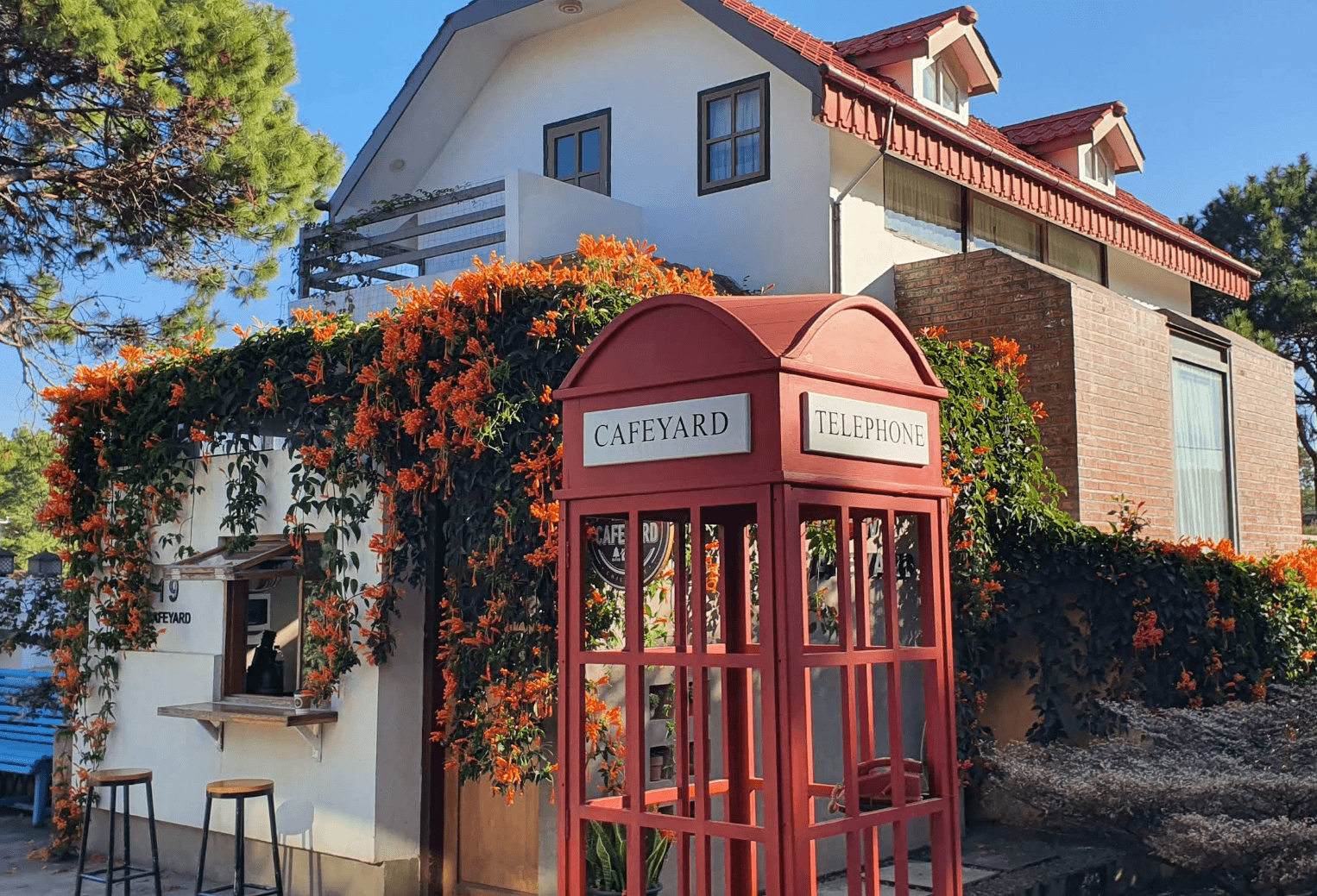 Kalaw Cafeyard, photo 3