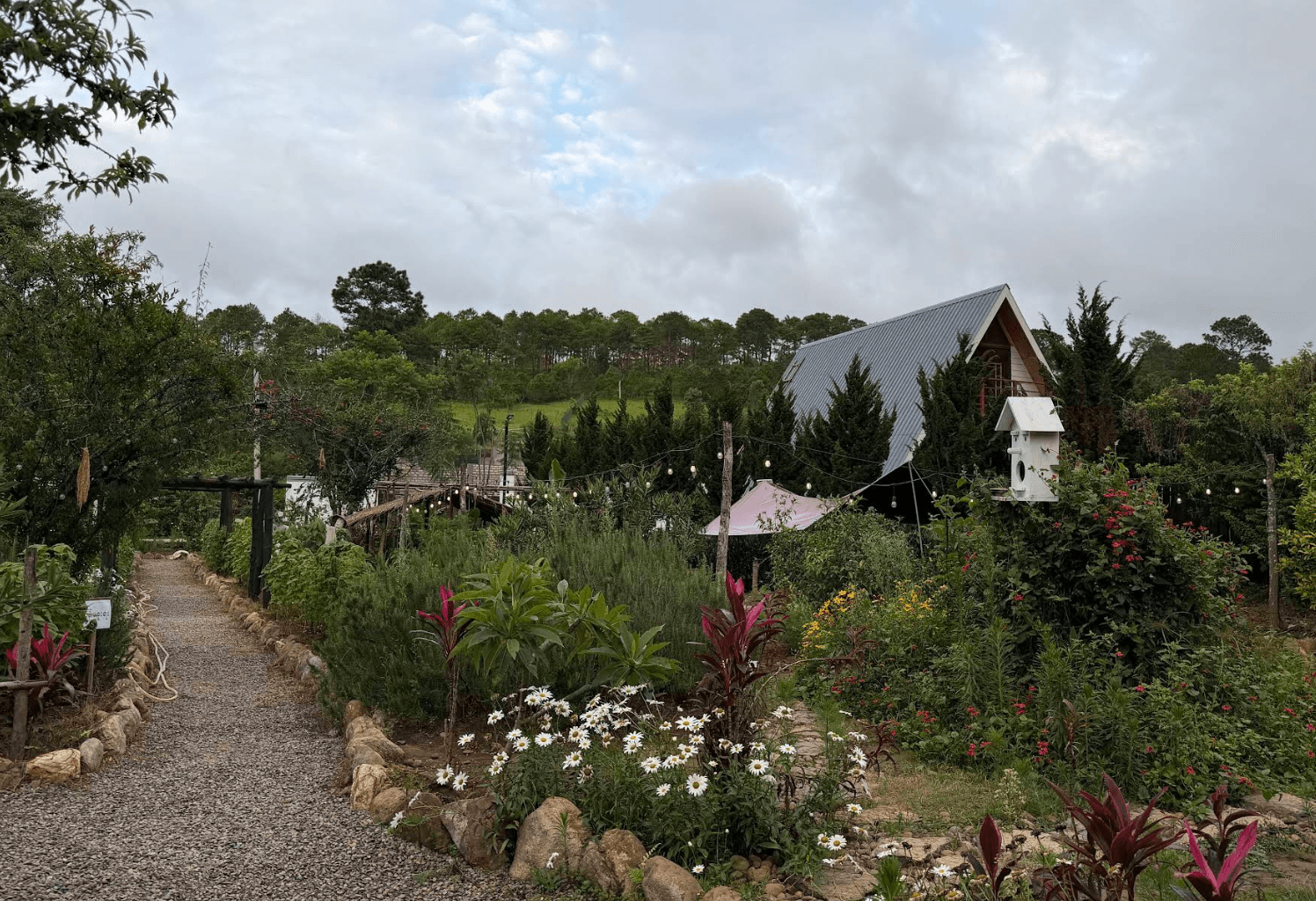 Green Hill Valley Cafe Restaurant, photo 2